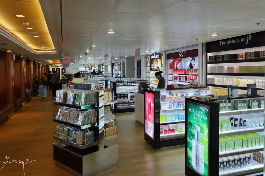 带父母豪华游轮环球旅行,带着父母们出游