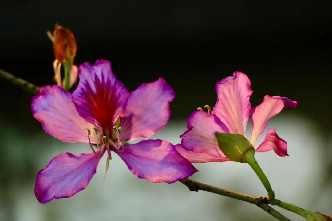 懂得珍惜,懂得珍惜歌曲原唱