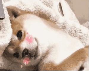 夏日油皮日常防晒,夏日油皮抗氧化搭配