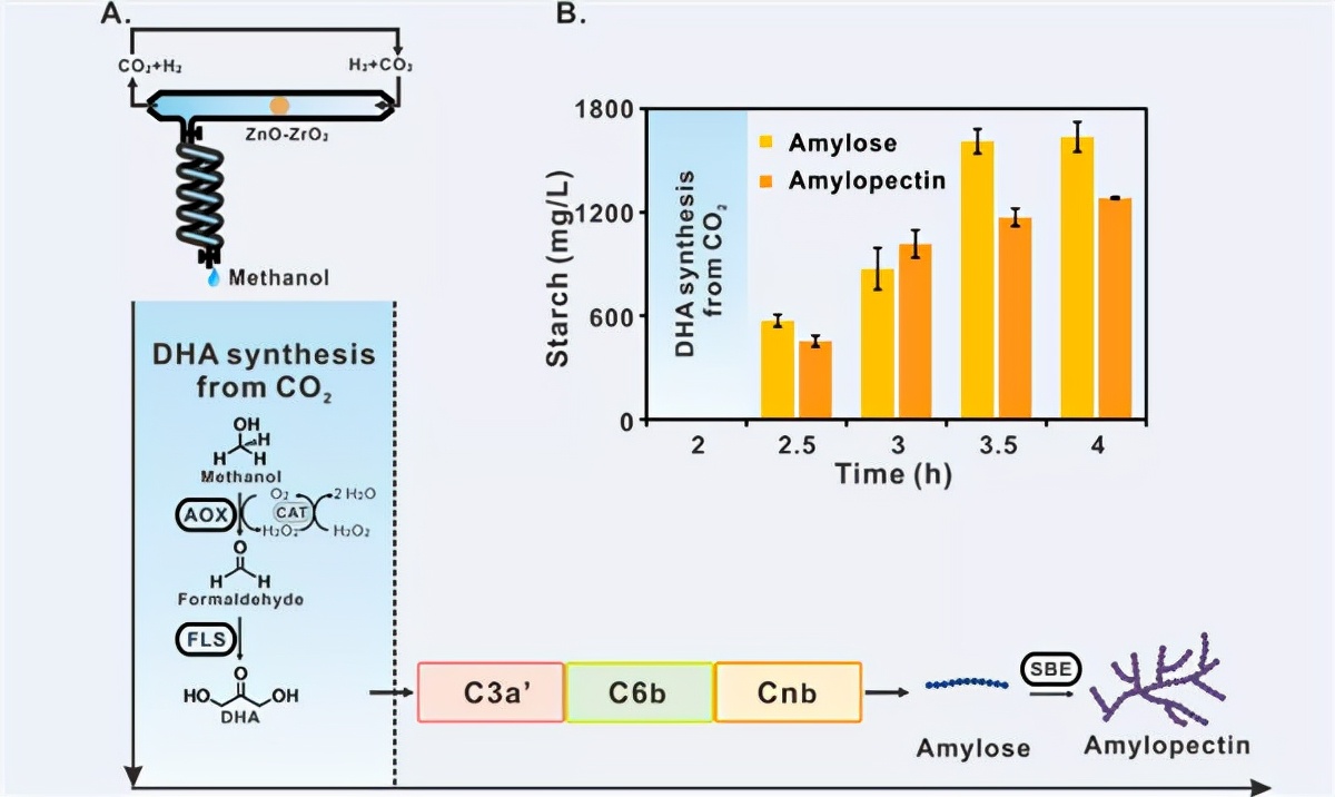 宇宙星际移民必备！我国科学家重大突破：用二氧化碳人工合成淀粉