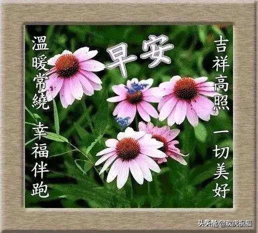 微信早晨最新的早安问候祝福短句,早晨好问候暖心短句祝福图片