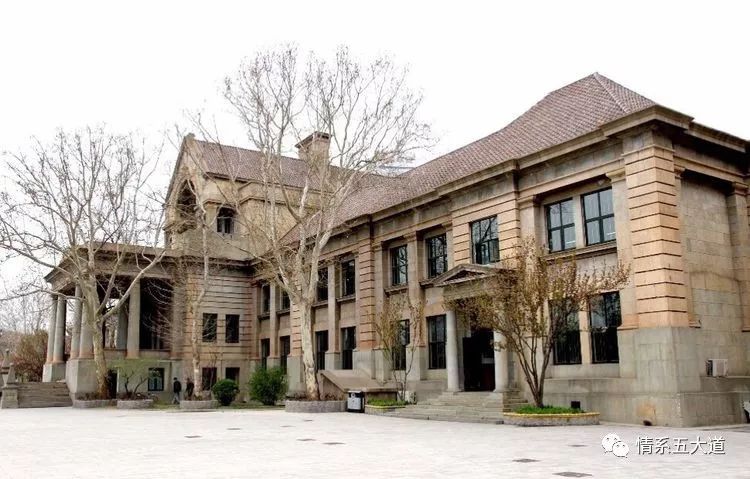 我的母校天津,我的母校20周年