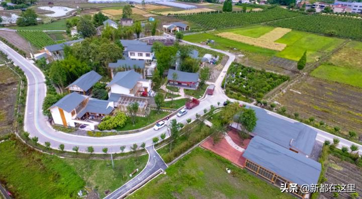 关注成都的发展,新都关注