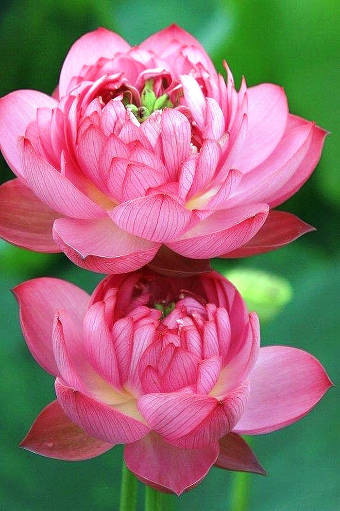 积极上进正能量简短格言短句,积极上进的正能量短句