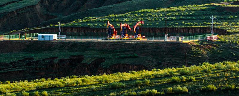 【官微会客厅·厂长面对面】低油价下提交的大厂“样本”!