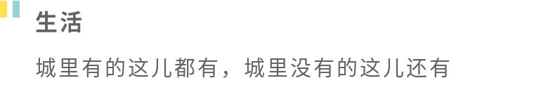 Kensington、Kingston傻傻分不清？带你走进国王的领地金斯顿