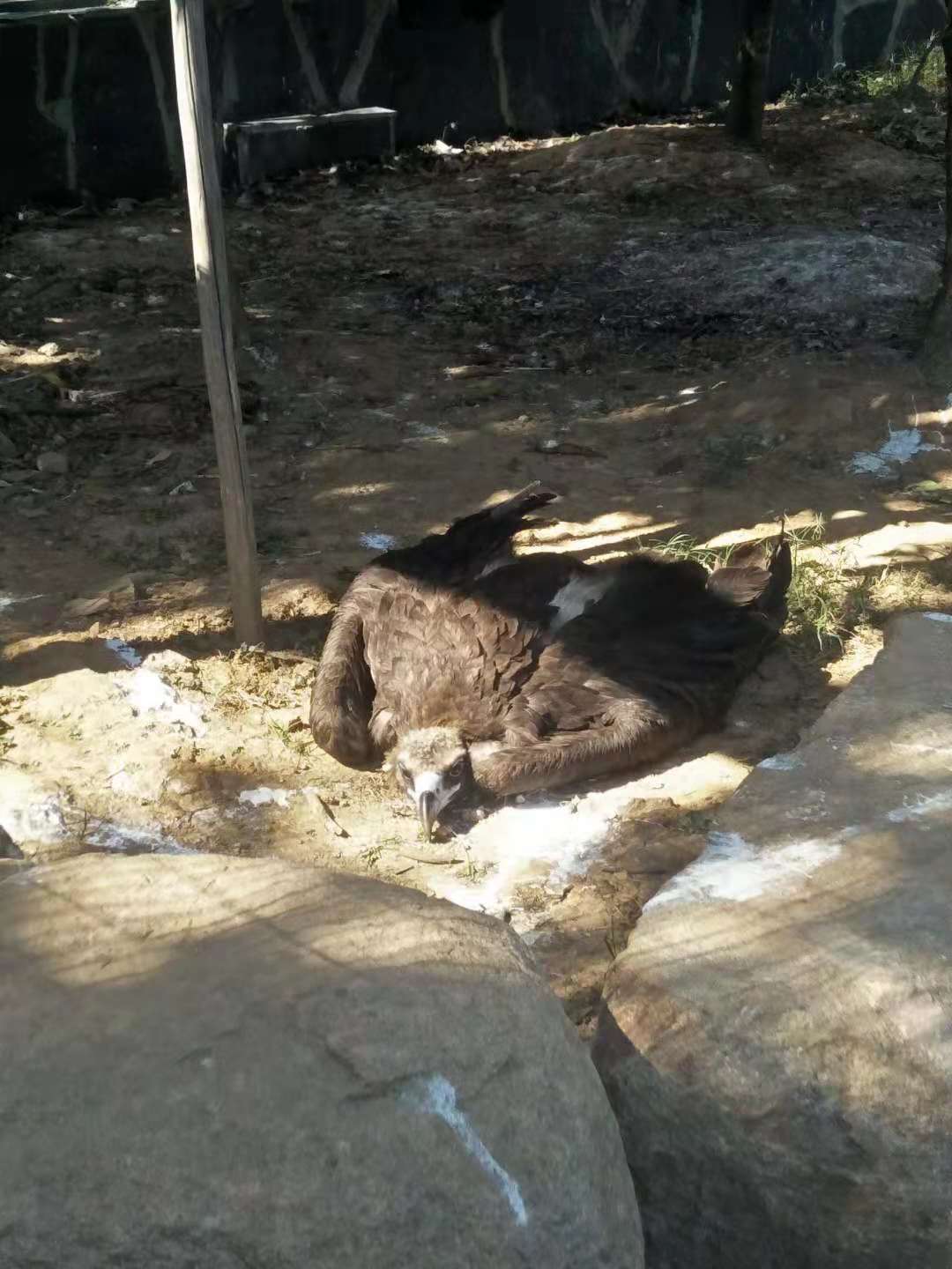 苏州上方山动物园,苏州上方山
