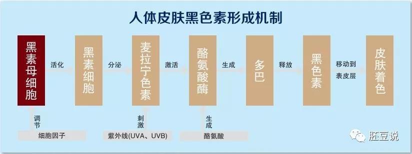 知否知否三庭五眼,知否一箭三雕