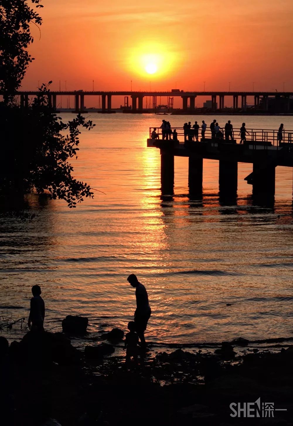 深圳1号线晚上好去处,坐地铁1号线玩遍深圳24个好地方