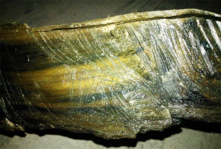 碳化金丝楠木阴沉木,金丝楠木与金丝楠阴沉木区别