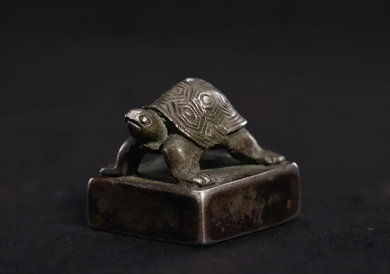 记录神兽的成长历程,9年神兽的成长历程