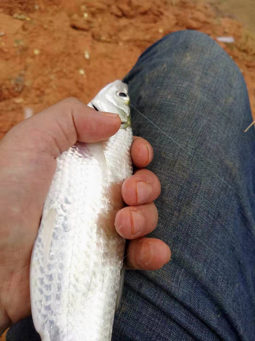 钓鱼人最怕鱼浮头,三个技巧可解决,虽爆不了护但渔获肯定有