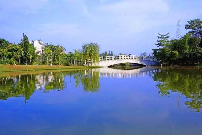 成都7宗tod用地全部底价成交,三环旁优质地段入市两宗住宅用地