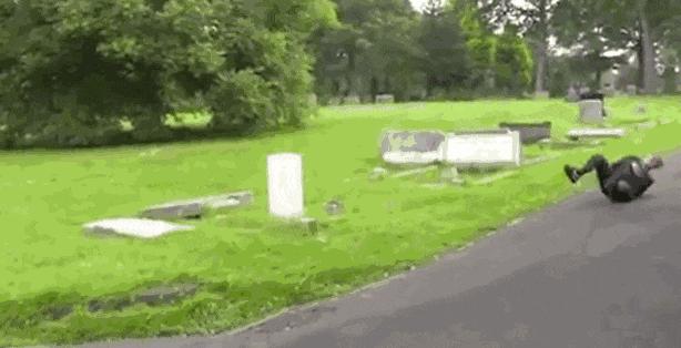 公狗和母狗有哪些区别,公狗和母狗有什么区别吗