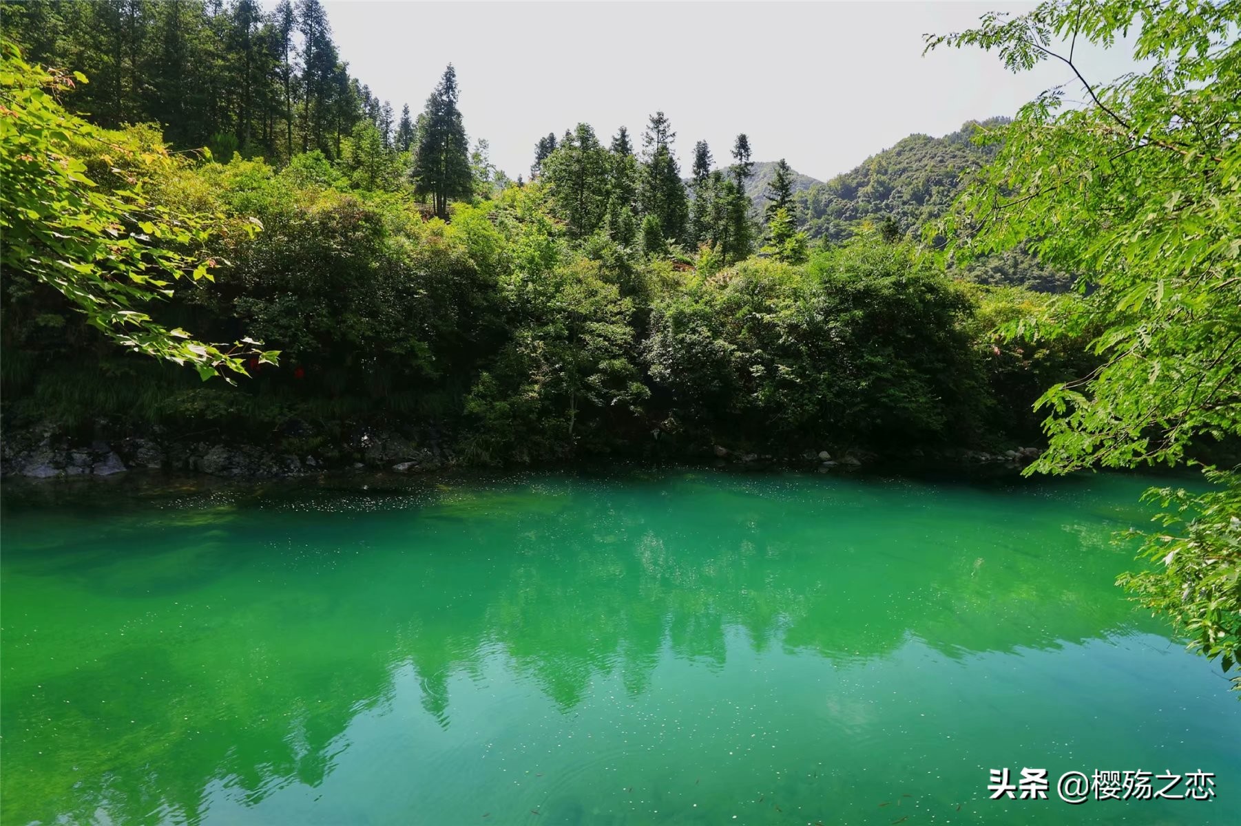 安徽黄山的兄弟,黄山的山真是又高又多又美