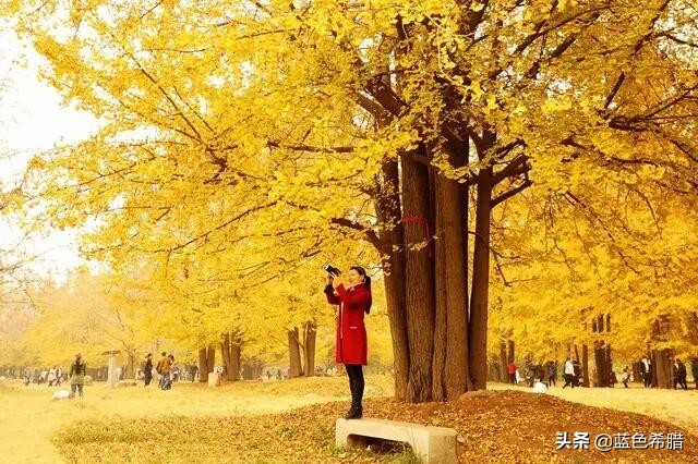 秋天氛围感怎样拍好看,秋天如何拍出氛围感