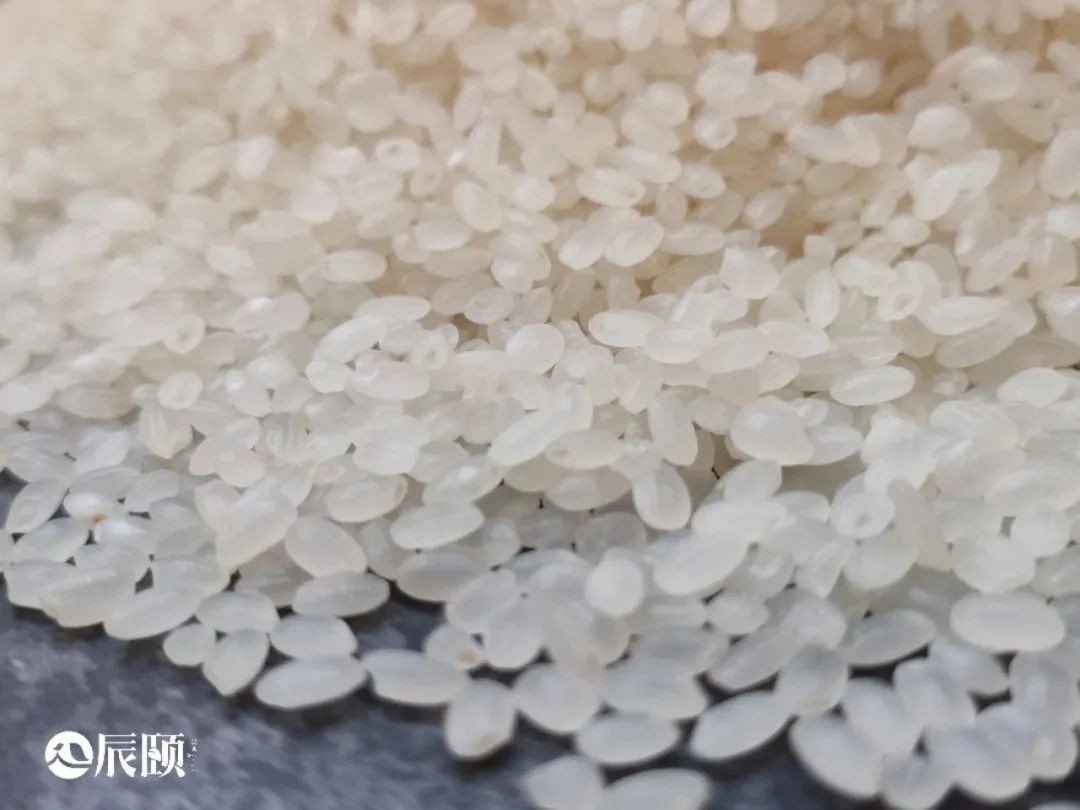 东北珍珠米用来做蛋炒饭可以吗,现磨现发东北珍珠米为什么好吃