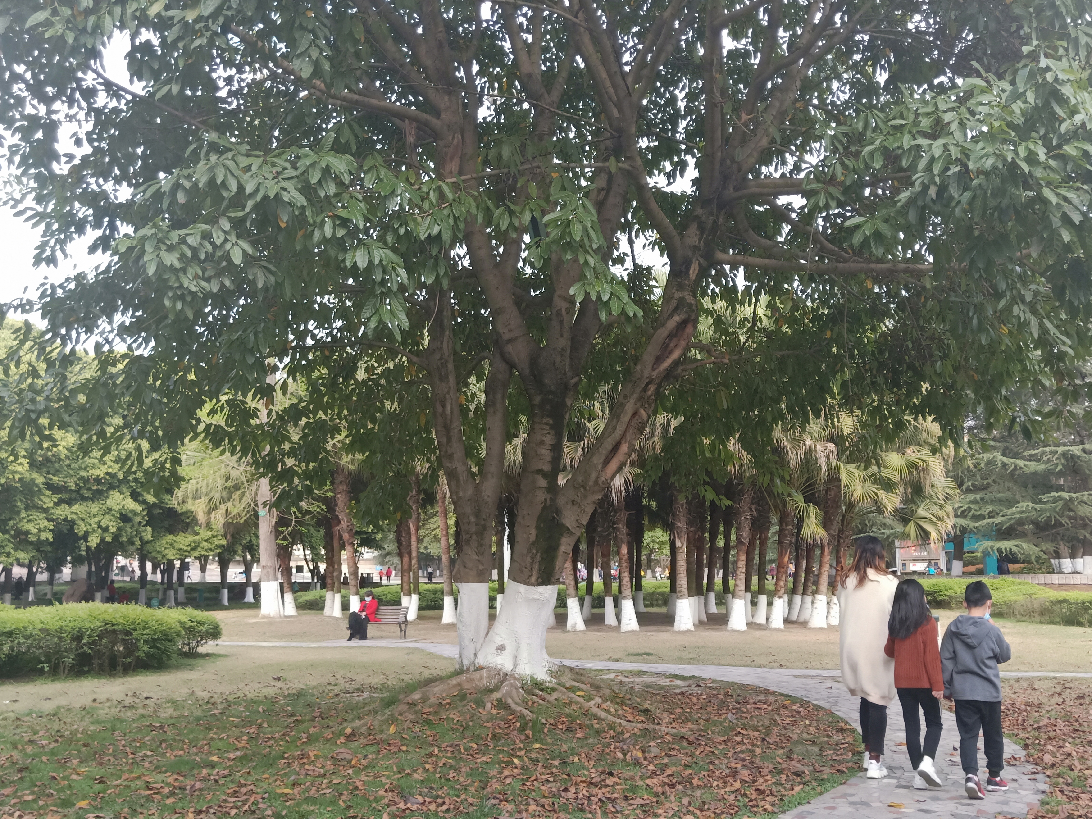 四川绵阳五一广场，一个让人流连忘返的地方