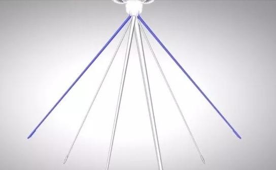 显微镜下的蚊子嘴巴,显微镜下的蚊子吸血全过程