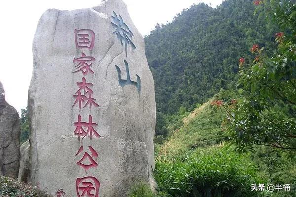 蛇中熊猫莽山烙铁头图片,蛇中熊猫莽山烙铁头有多珍稀