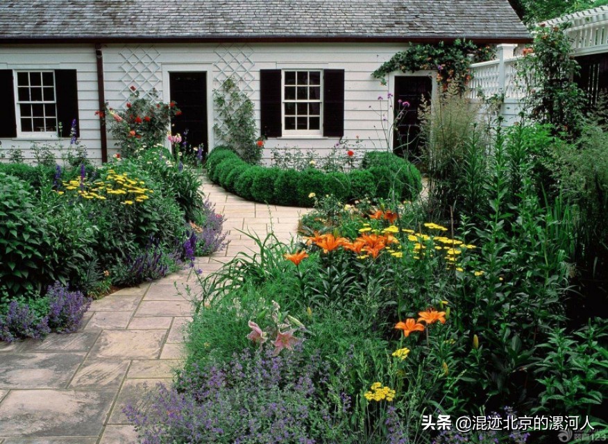 家狗突然不见了啥原因,农村的狗突然不见了是什么原因