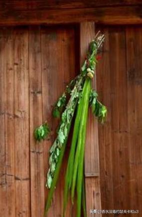 阿蒂仙狂恋苦艾适合女性吗,阿蒂仙狂恋苦艾香水适合什么人