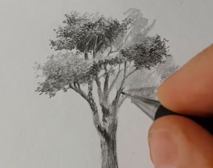 素描风景画基础教学,素描画法风景基础教程