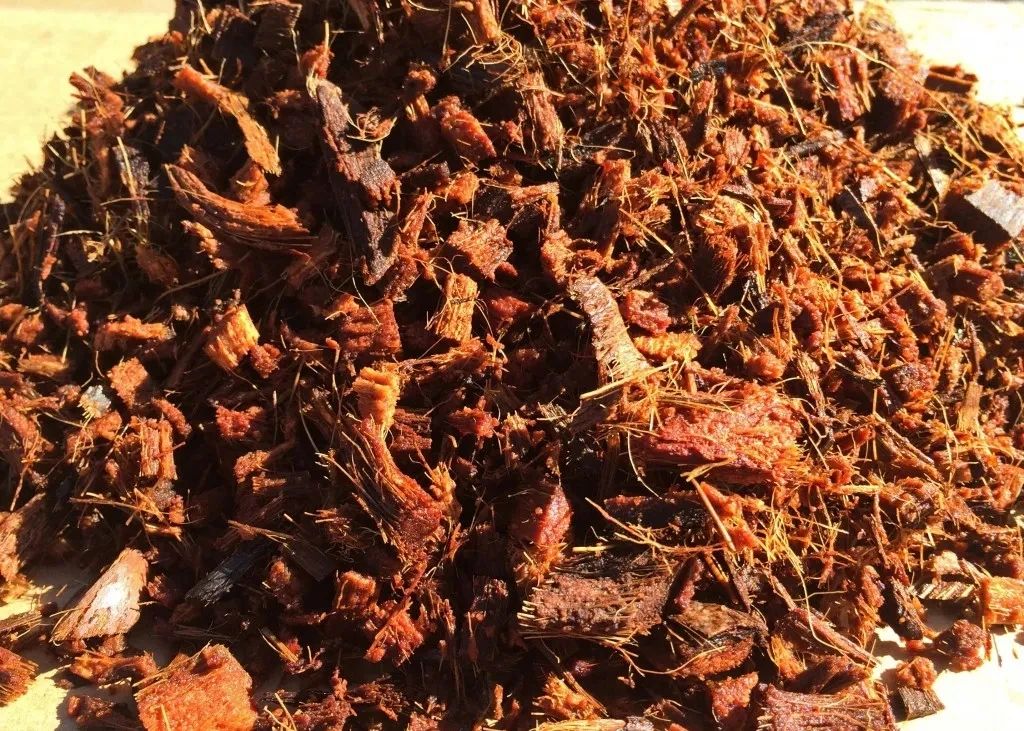 养花的土全用营养土好吗,为什么买的营养土种什么都死