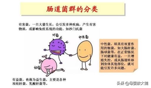 有很多人说益生菌吃了没效果,益生菌包治百病是谁说的