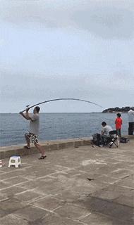 生物老师是女的,生物老师是个女的