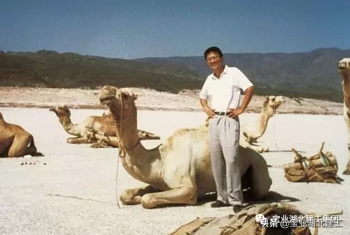 宝业集团张健,武汉宝业建工集团海外部张健