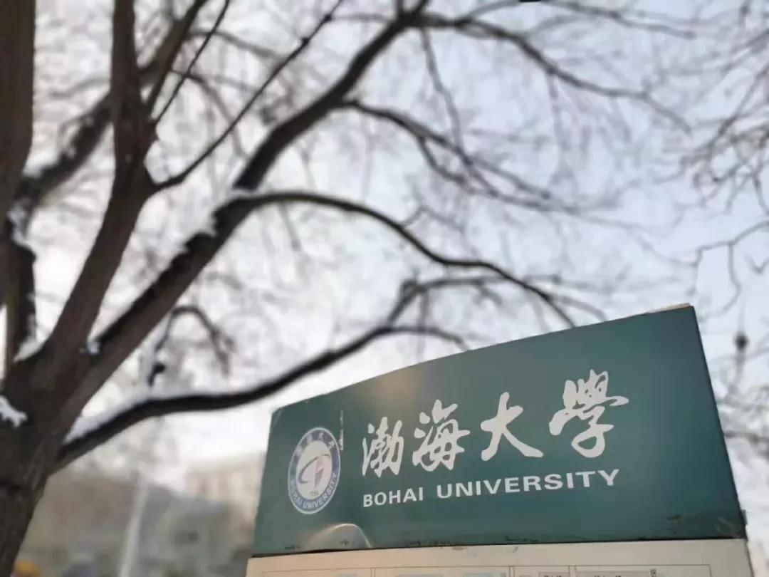 辽宁省普通高等院校(二十二)渤海大学