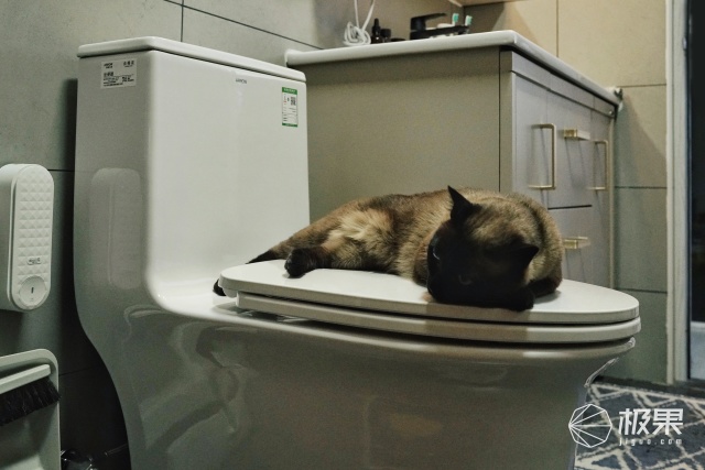 新型永不堵塞节水马桶,换一个智能马桶