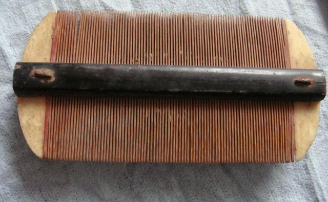 七八十年代人人头上有虱子,80年代时人们为什么会有虱子