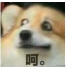 90后不知道的00后缩写字母,00后的流行缩写