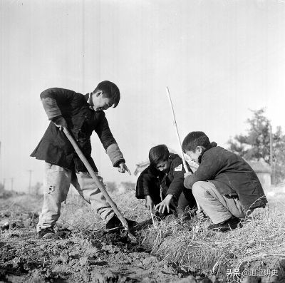 抓老鼠除蟑螂,灭四害捉老鼠