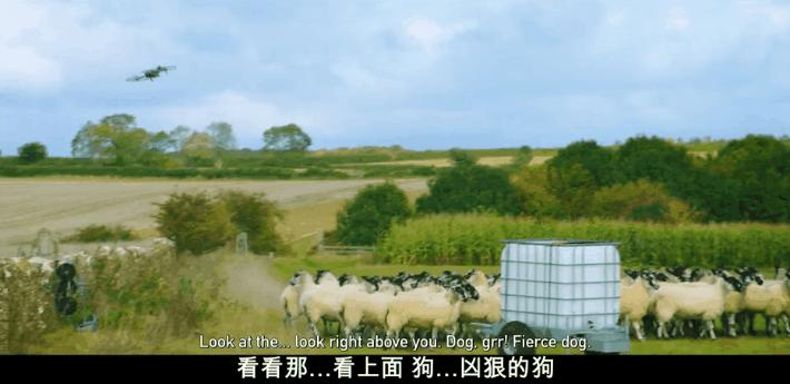 豆瓣9.6,这个“英国版李子柒”承包了我本月的笑点