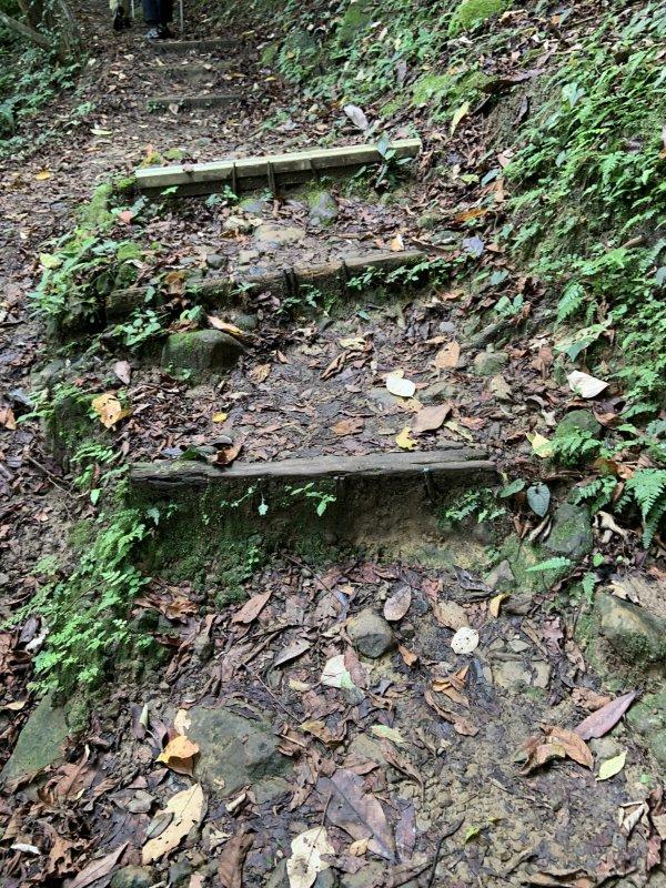 哥伦比亚日常徒步都可以穿的鞋,穿哥伦比亚爬珠峰