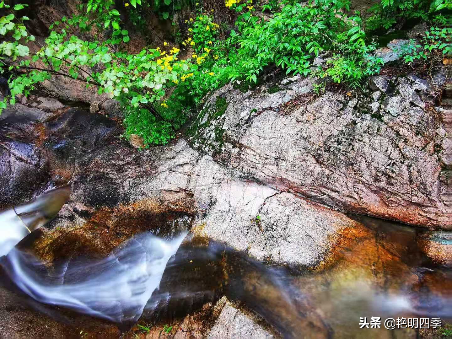 河南平顶山画眉谷——画眉声声谷愈静,流水淙淙山更幽