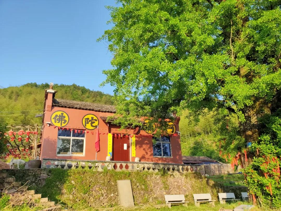 衢州乌石山福慧禅寺,乌石山福慧禅寺