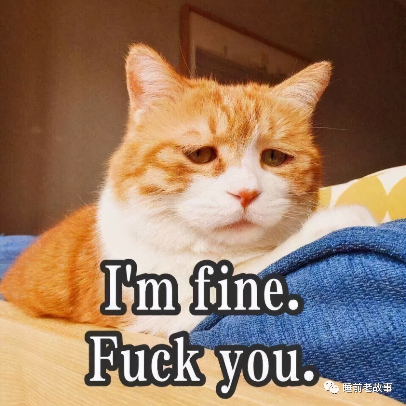 「志怪大百科」——天庭分公司:瘟部