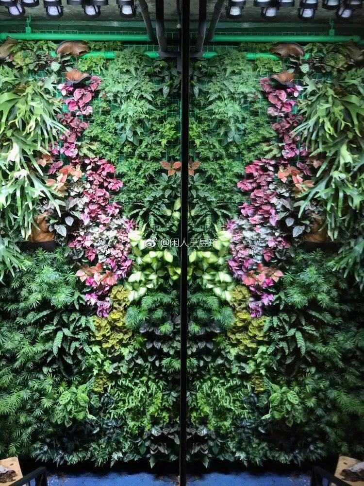 王昱珩上学经历,清华毕业的王昱珩