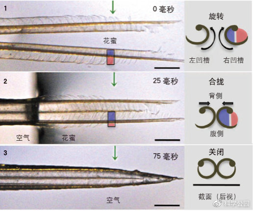 头发粘在一起是怎么回事,为什么头发会粘在一起