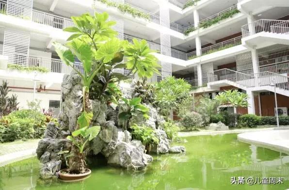 深圳福田荔园小学怎么样,深圳福田外国语小学排名