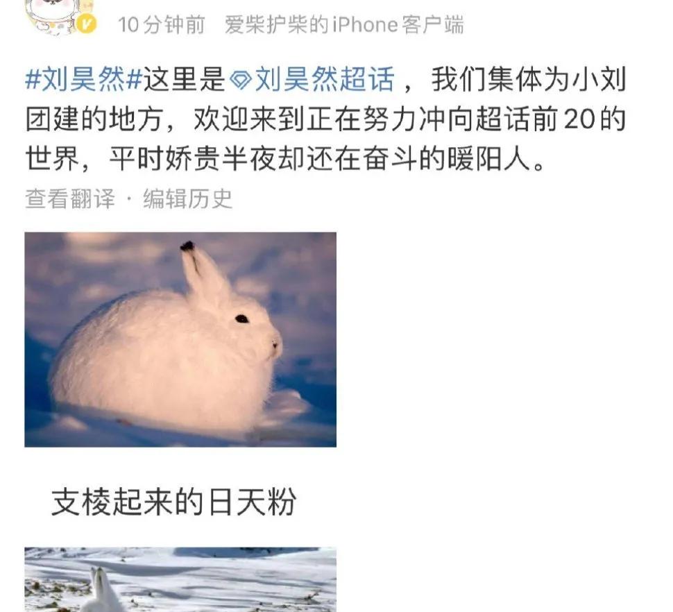 三千万顶流的瓜是什么梗,三千万顶流的瓜有结果了吗