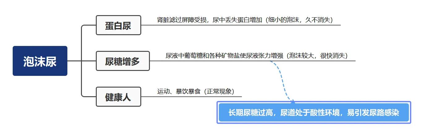 糖友泡沫尿,糖友尿中泡沫多是尿蛋白吗