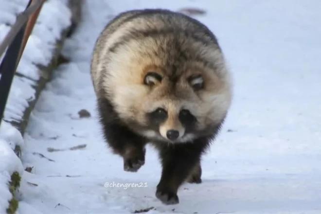 纪念吴孟达的外景视频,吴孟达纪念片完整版