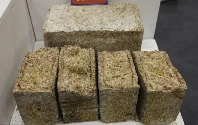 酒曲是一种什么东西,酒曲是什么