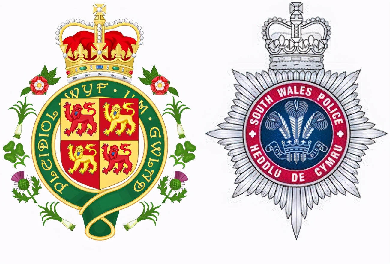 罕见的特种部队徽章,罕见徽章