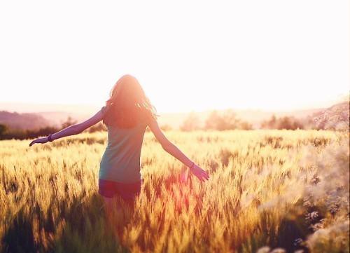 开往春天的广东列车,开往春天的列车是开往哪的